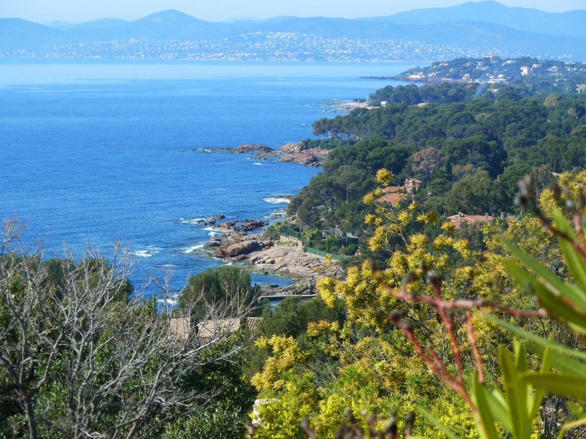 Duplex, Vue Panoramique Sur La Mediterranee, Piscine, Garage Saint-Raphaël Eksteriør bilde