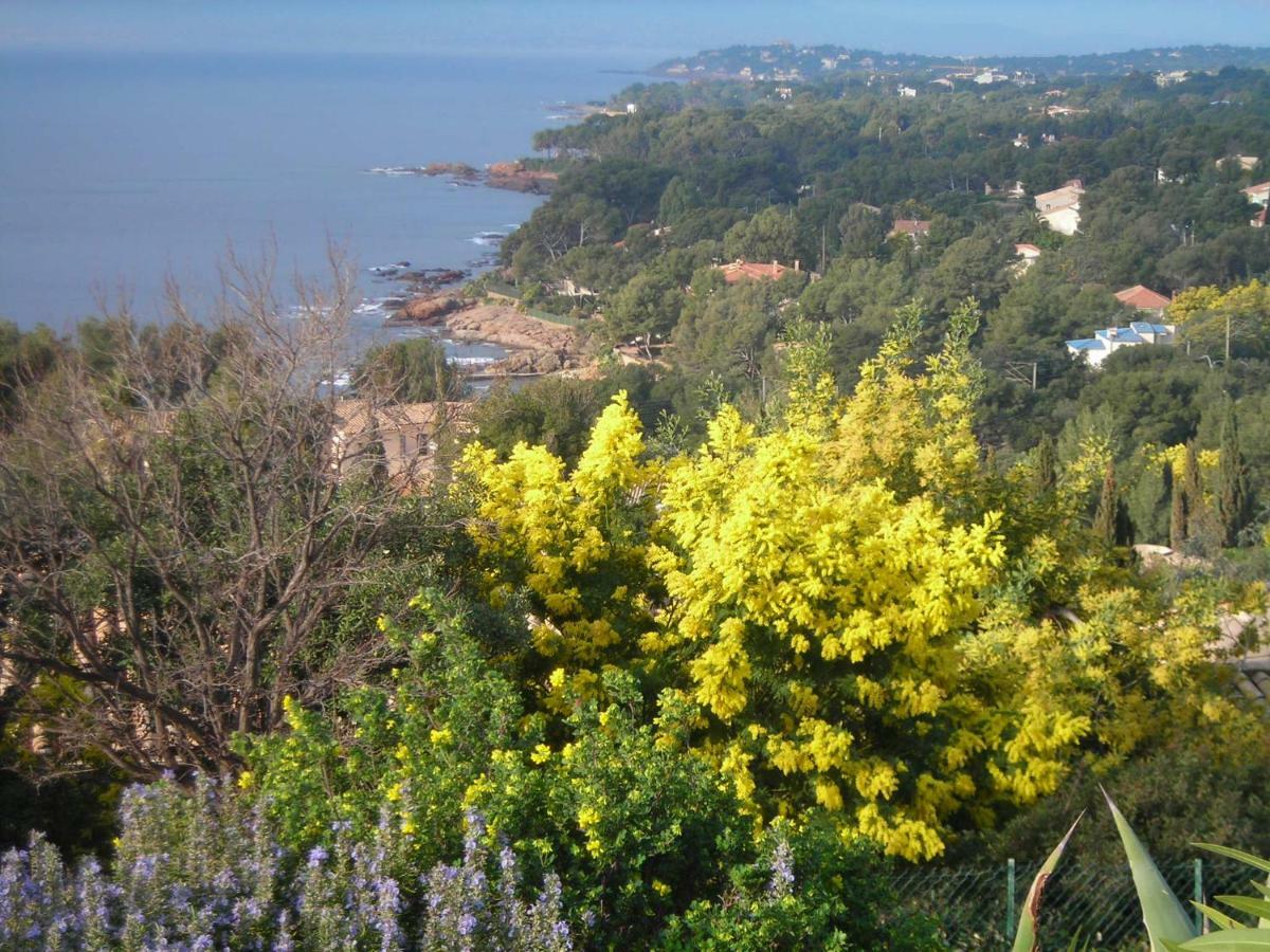 Duplex, Vue Panoramique Sur La Mediterranee, Piscine, Garage Saint-Raphaël Eksteriør bilde
